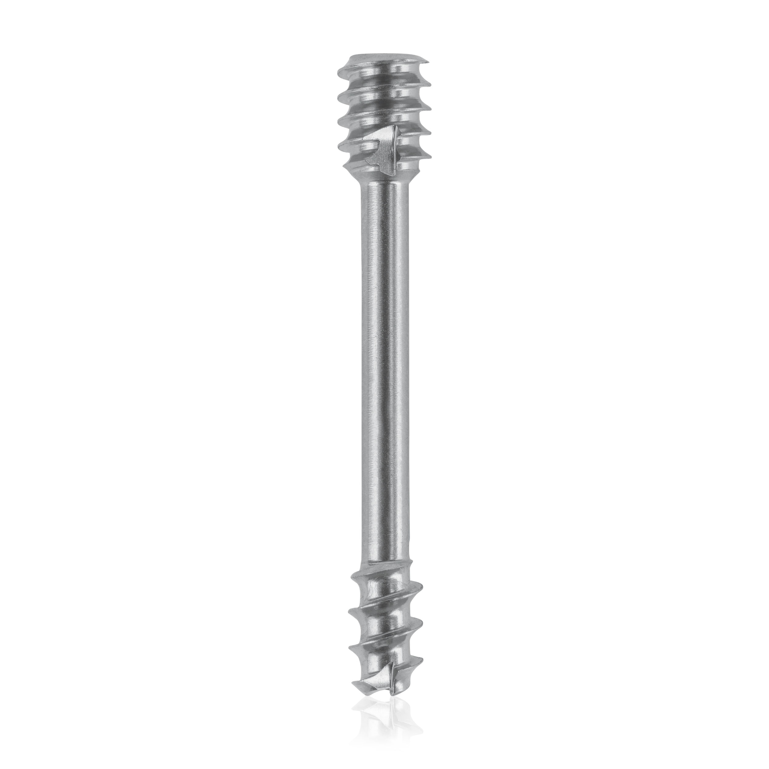 L = 26mm
